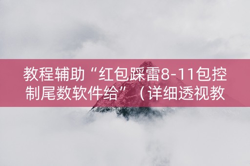 教程辅助“红包踩雷8-11包控制尾数软件给”（详细透视教程）-哔哩哔哩