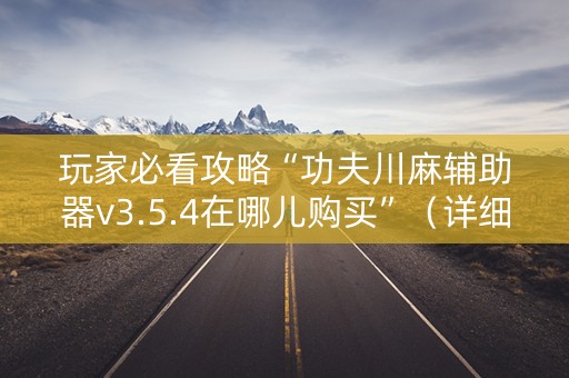 玩家必看攻略“功夫川麻辅助器v3.5.4在哪儿购买”（详细透视教程）-哔哩哔哩