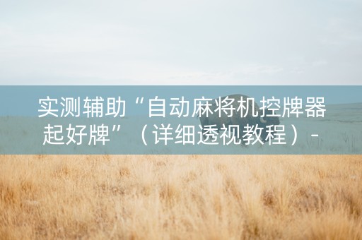 实测辅助“自动麻将机控牌器起好牌”（详细透视教程）-哔哩哔哩