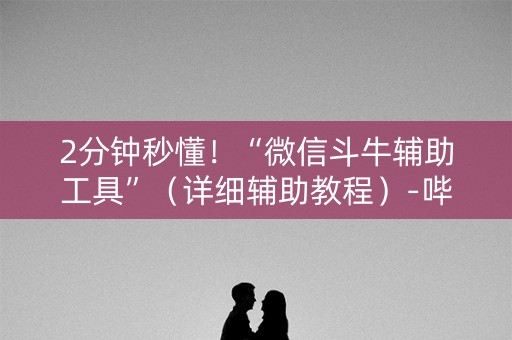 2分钟秒懂！“微信斗牛辅助工具”（详细辅助教程）-哔哩哔哩