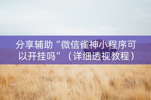 分享辅助“微信雀神小程序可以开挂吗”（详细透视教程）-哔哩哔哩