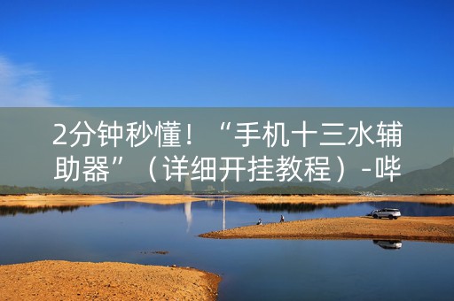 2分钟秒懂！“手机十三水辅助器”（详细开挂教程）-哔哩哔哩