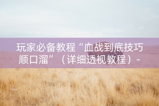 玩家必备教程“血战到底技巧顺口溜”（详细透视教程）-哔哩哔哩