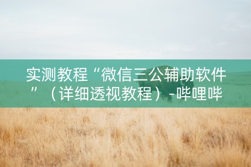 实测教程“微信三公辅助软件”（详细透视教程）-哔哩哔哩