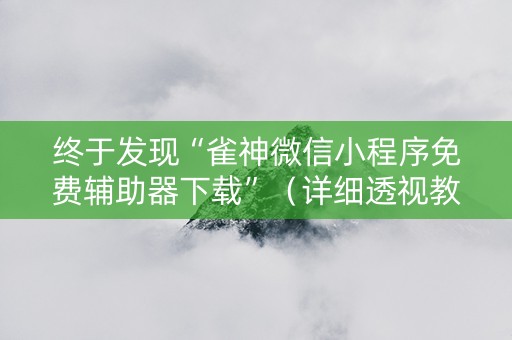终于发现“雀神微信小程序免费辅助器下载”（详细透视教程）-哔哩哔哩