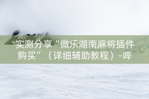 实测分享“微乐湖南麻将插件购买”（详细辅助教程）-哔哩哔哩