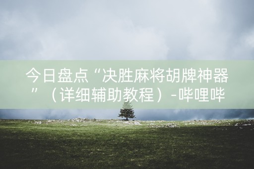 今日盘点“决胜麻将胡牌神器”（详细辅助教程）-哔哩哔哩