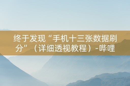 终于发现“手机十三张数据刷分”（详细透视教程）-哔哩哔哩