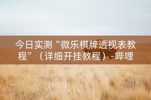 今日实测“微乐棋牌透视表教程”（详细开挂教程）-哔哩哔哩