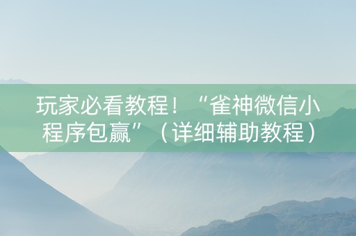 玩家必看教程！“雀神微信小程序包赢”（详细辅助教程）-哔哩哔哩