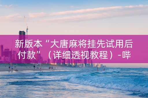 新版本“大唐麻将挂先试用后付款”（详细透视教程）-哔哩哔哩