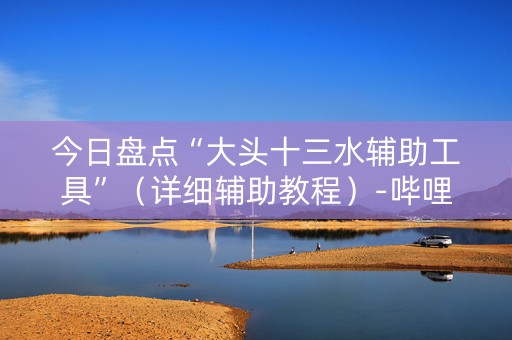 今日盘点“大头十三水辅助工具”（详细辅助教程）-哔哩哔哩