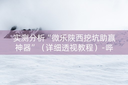 实测分析“微乐陕西挖坑助赢神器”（详细透视教程）-哔哩哔哩