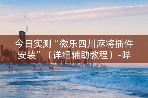 今日实测“微乐四川麻将插件安装”（详细辅助教程）-哔哩哔哩