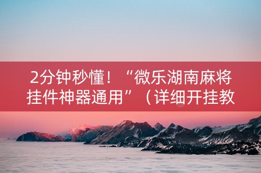 2分钟秒懂！“微乐湖南麻将挂件神器通用”（详细开挂教程）-哔哩哔哩
