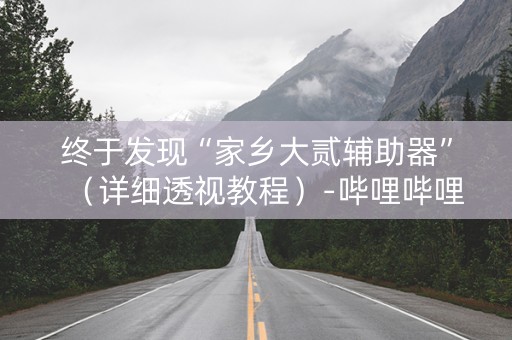 终于发现“家乡大贰辅助器”（详细透视教程）-哔哩哔哩
