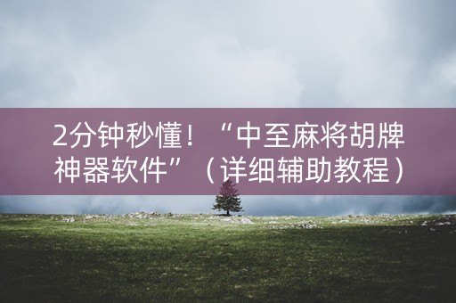 2分钟秒懂！“中至麻将胡牌神器软件”（详细辅助教程）-哔哩哔哩