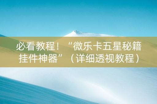 必看教程！“微乐卡五星秘籍挂件神器”（详细透视教程）-哔哩哔哩