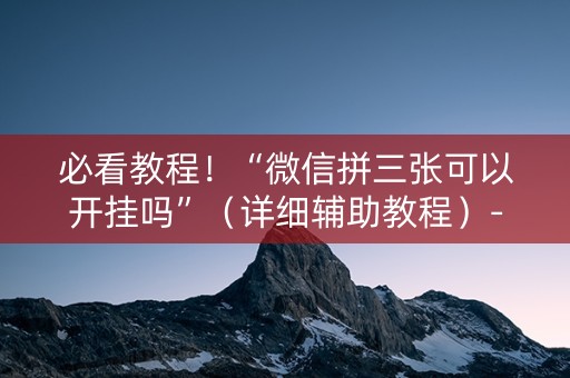 必看教程！“微信拼三张可以开挂吗”（详细辅助教程）-哔哩哔哩