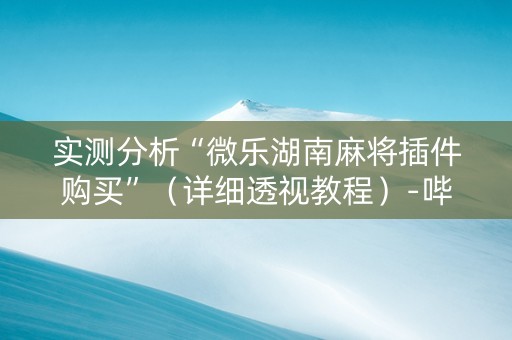 实测分析“微乐湖南麻将插件购买”（详细透视教程）-哔哩哔哩