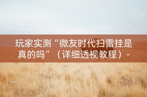 玩家实测“微友时代扫雷挂是真的吗”（详细透视教程）-哔哩哔哩