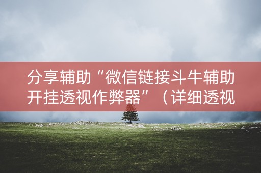 分享辅助“微信链接斗牛辅助开挂透视作弊器”（详细透视教程）-哔哩哔哩