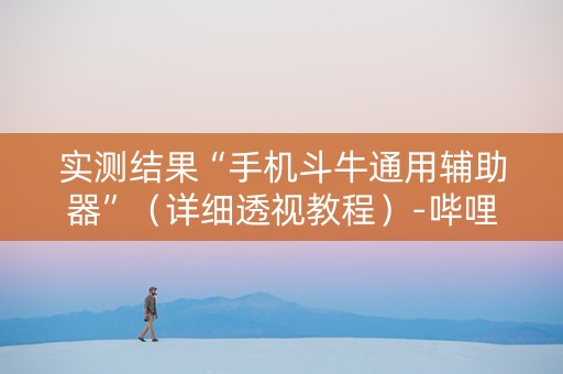 实测结果“手机斗牛通用辅助器”（详细透视教程）-哔哩哔哩