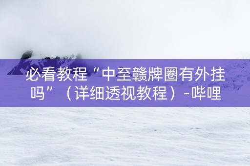 必看教程“中至赣牌圈有外挂吗”（详细透视教程）-哔哩哔哩