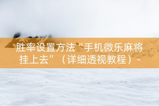 胜率设置方法“手机微乐麻将挂上去”（详细透视教程）-哔哩哔哩