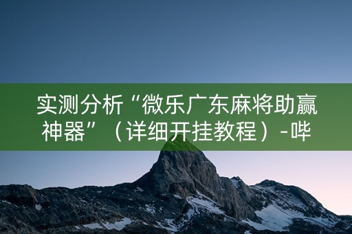 实测分析“微乐广东麻将助赢神器”（详细开挂教程）-哔哩哔哩
