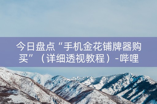 今日盘点“手机金花铺牌器购买”（详细透视教程）-哔哩哔哩