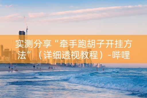 实测分享“牵手跑胡子开挂方法”（详细透视教程）-哔哩哔哩