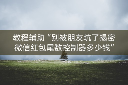 教程辅助“别被朋友坑了揭密微信红包尾数控制器多少钱”（详细透视教程）-哔哩哔哩