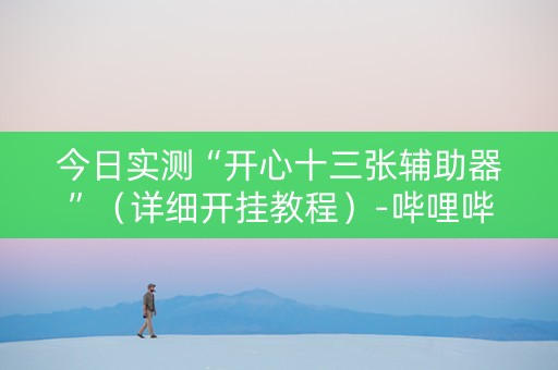 今日实测“开心十三张辅助器”（详细开挂教程）-哔哩哔哩