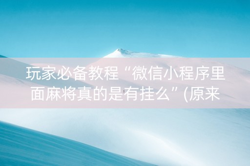 玩家必备教程“微信小程序里面麻将真的是有挂么”(原来真的有挂)-知乎