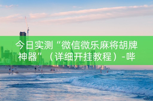 今日实测“微信微乐麻将胡牌神器”（详细开挂教程）-哔哩哔哩