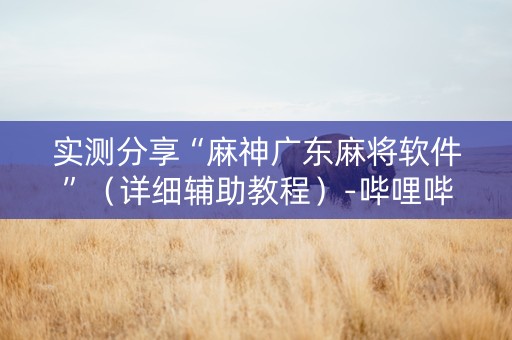 实测分享“麻神广东麻将软件”（详细辅助教程）-哔哩哔哩
