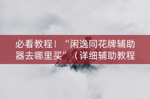 必看教程！“闲逸同花牌辅助器去哪里买”（详细辅助教程）-哔哩哔哩