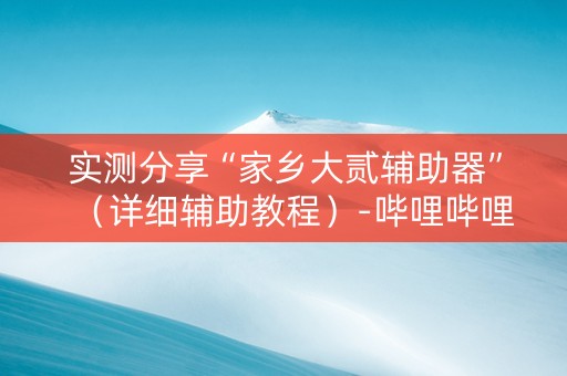 实测分享“家乡大贰辅助器”（详细辅助教程）-哔哩哔哩