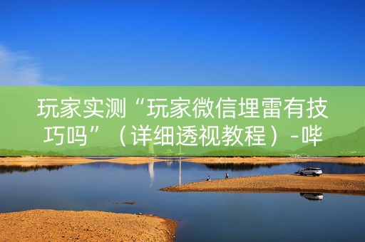 玩家实测“玩家微信埋雷有技巧吗”（详细透视教程）-哔哩哔哩