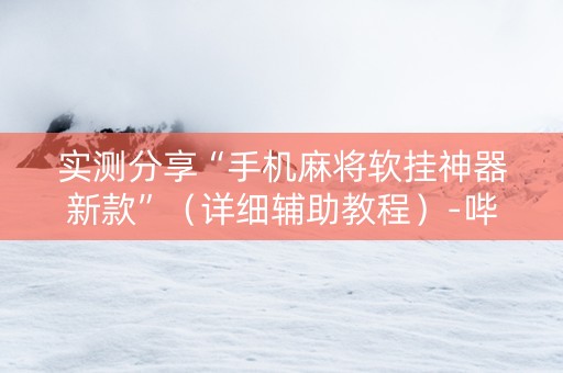 实测分享“手机麻将软挂神器新款”（详细辅助教程）-哔哩哔哩