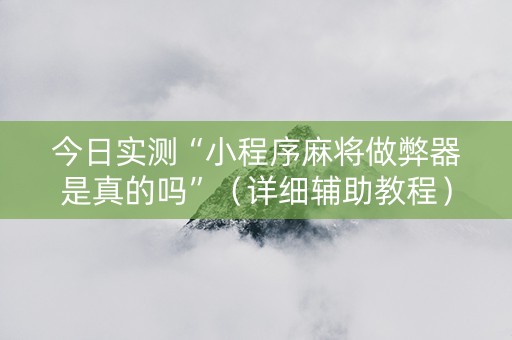 今日实测“小程序麻将做弊器是真的吗”（详细辅助教程）-哔哩哔哩