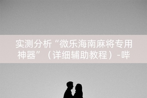 实测分析“微乐海南麻将专用神器”（详细辅助教程）-哔哩哔哩
