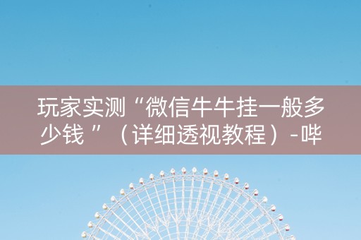 玩家实测“微信牛牛挂一般多少钱 ”（详细透视教程）-哔哩哔哩