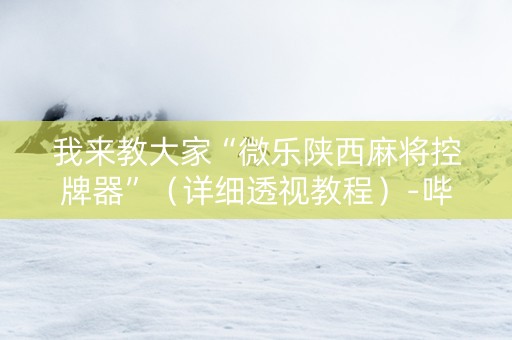 我来教大家“微乐陕西麻将控牌器”（详细透视教程）-哔哩哔哩
