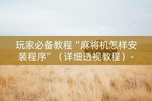 玩家必备教程“麻将机怎样安装程序”（详细透视教程）-哔哩哔哩