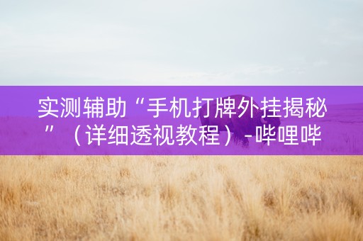 实测辅助“手机打牌外挂揭秘”（详细透视教程）-哔哩哔哩