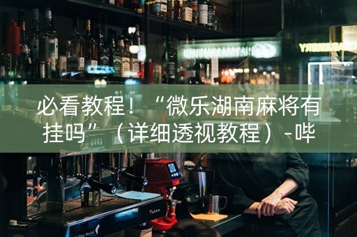 必看教程！“微乐湖南麻将有挂吗”（详细透视教程）-哔哩哔哩