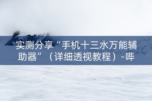 实测分享“手机十三水万能辅助器”（详细透视教程）-哔哩哔哩