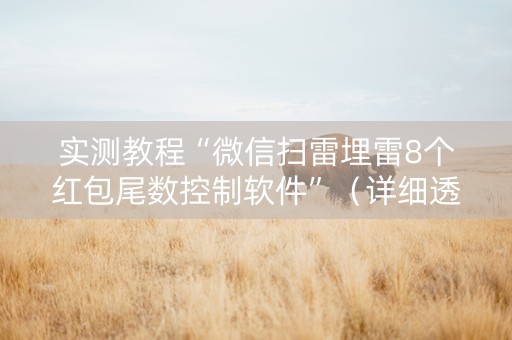 实测教程“微信扫雷埋雷8个红包尾数控制软件”（详细透视教程）-哔哩哔哩